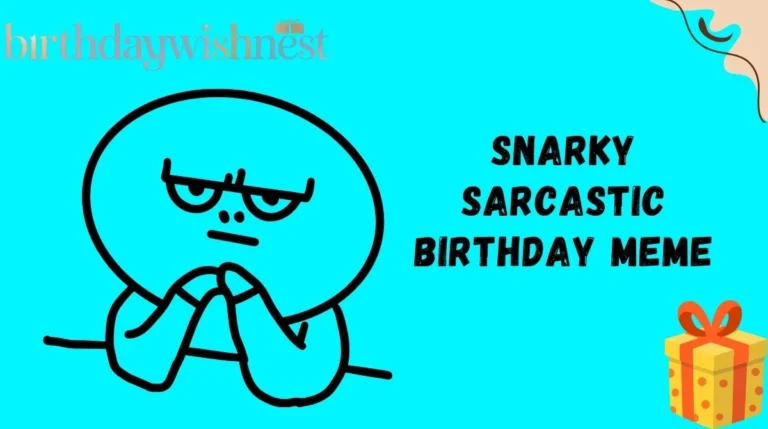 Snarky Sarcastic Birthday Meme